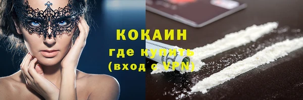 дживик Семилуки