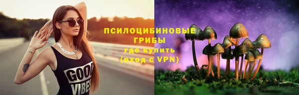 PSILOCYBIN Алзамай