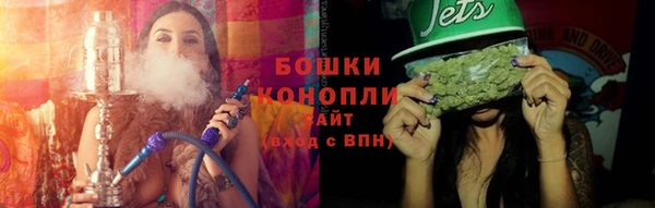 PSILOCYBIN Алзамай