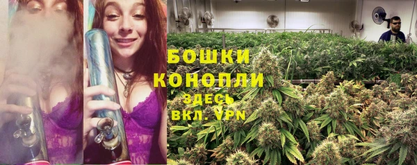 PSILOCYBIN Алзамай
