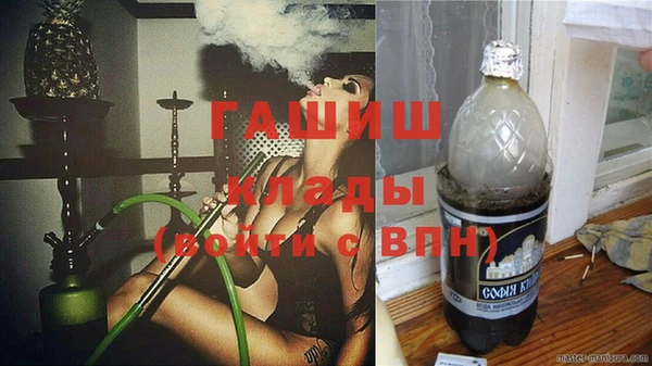PSILOCYBIN Алзамай
