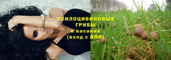 мескалин Алексин